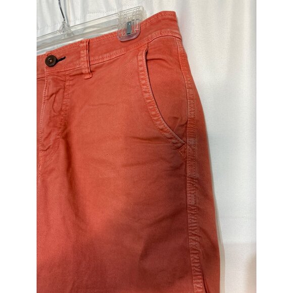 American Eagle Outfitters Mens Active Flex Coral Chino Shorts Size 32 - Picture 3 of 8
